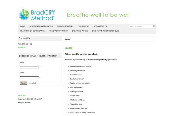 Basically theme site design template sample