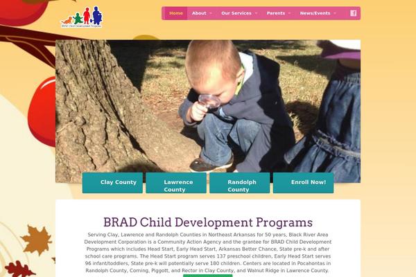 Pekaboo theme site design template sample