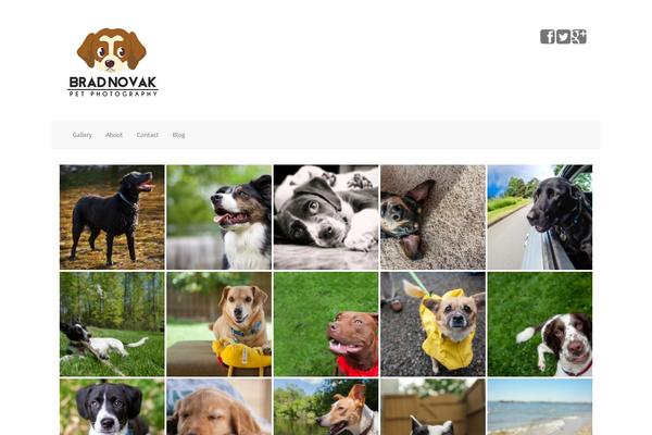 Blain theme site design template sample