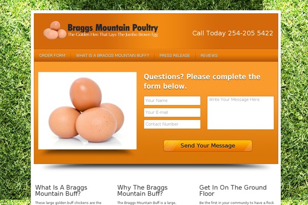 Local Business theme site design template sample