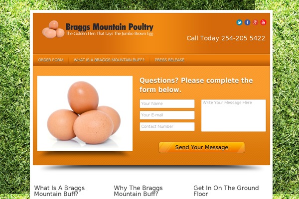 Local Business theme site design template sample