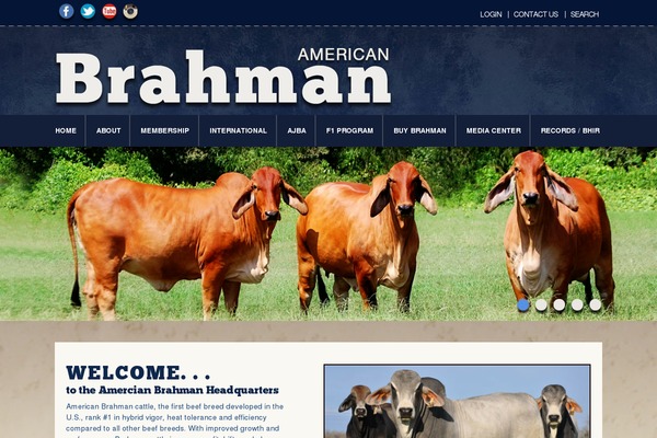 brahman.org site used Americanbrahman