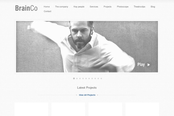 Echo theme websites examples