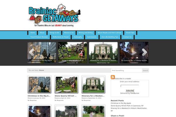 Video Elements theme site design template sample