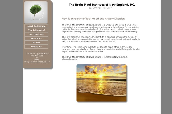 brainmindinstitute.com site used Brainmindinstitute