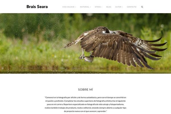 Vega theme site design template sample