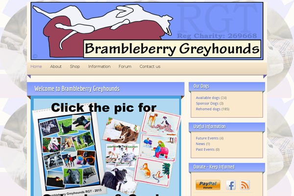 Site using Google Analytics Dashboard By Analytify plugin