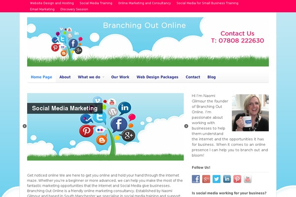 Site using Chimpy plugin