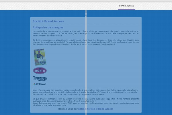 Timeline theme site design template sample