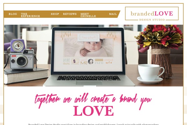 ProPhoto 5 theme site design template sample