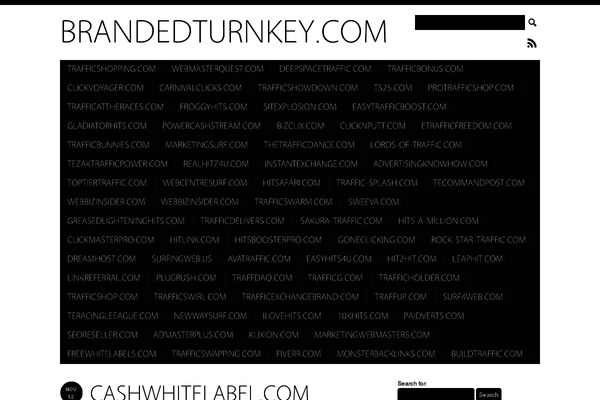 Simplenotes theme site design template sample