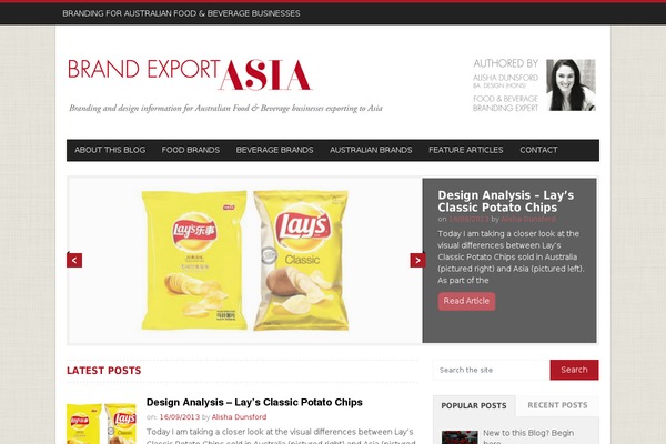 NewsMag theme site design template sample