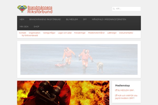 Avenue theme site design template sample
