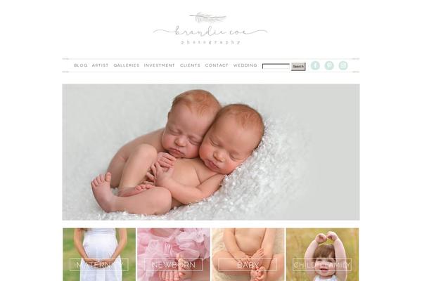 ProPhoto 5 theme site design template sample