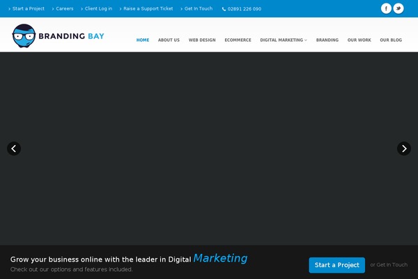 Brandingbay theme site design template sample