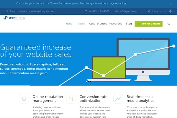 SEOWP theme site design template sample