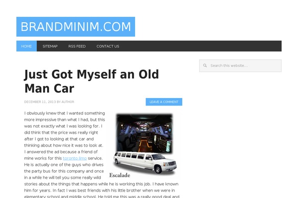 Metro Pro theme site design template sample