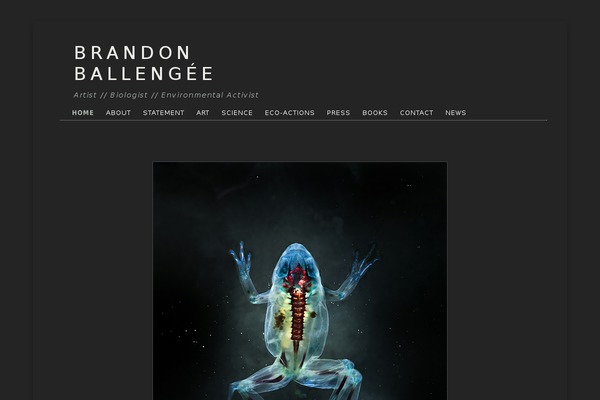 David theme site design template sample