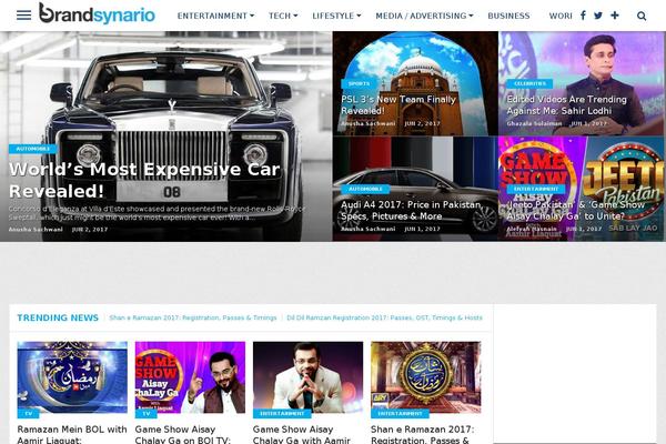 brandsynario.com site used Newspaper2