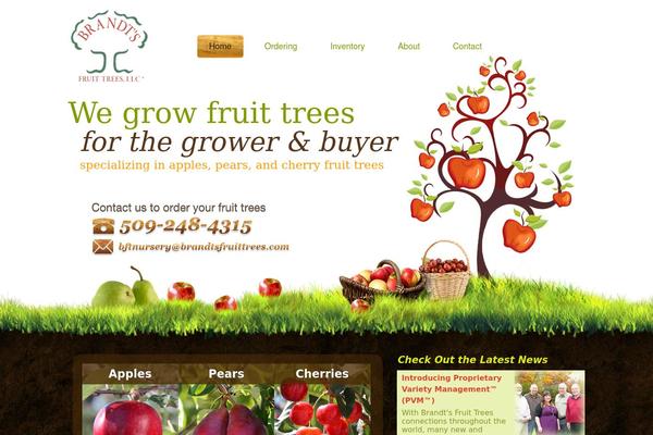 Bft theme site design template sample