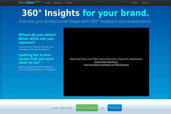 brandvizor.com site used Brandvizor