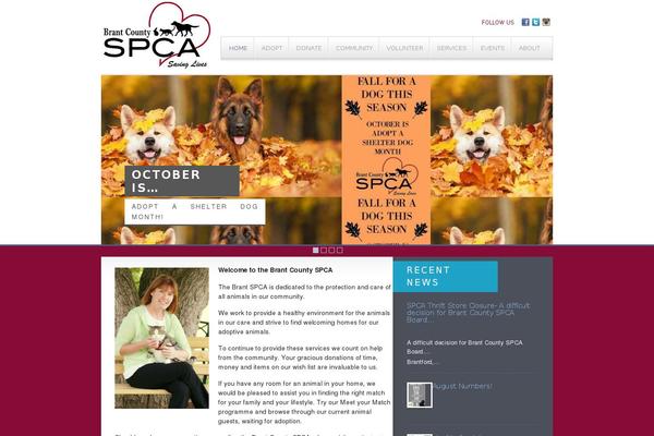 Langwitch theme site design template sample