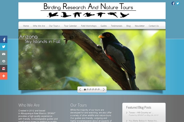 Deepfocus theme site design template sample