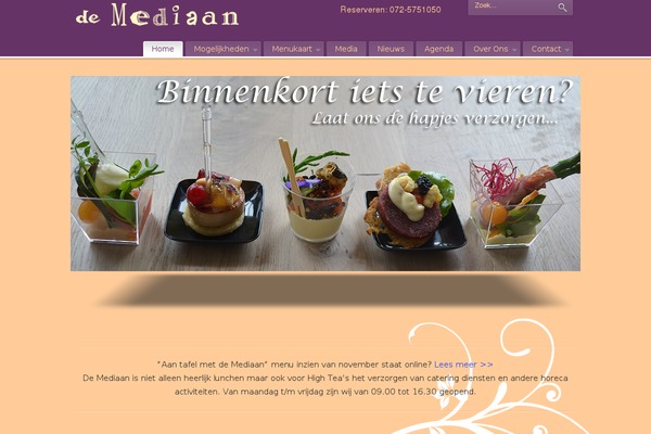 PureVISION theme site design template sample