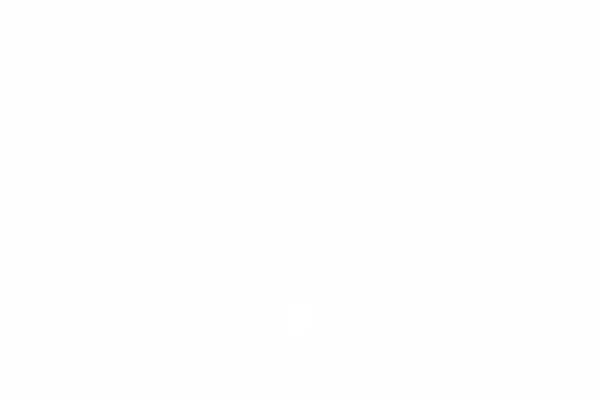 bratidrapportering.se site used Latte