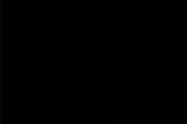bravespiritstheatre.com site used Noha