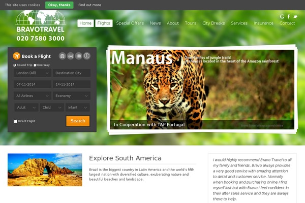 Midway theme site design template sample