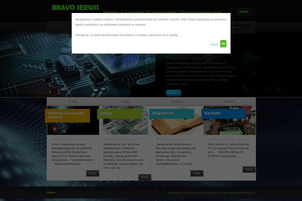TheSource theme site design template sample