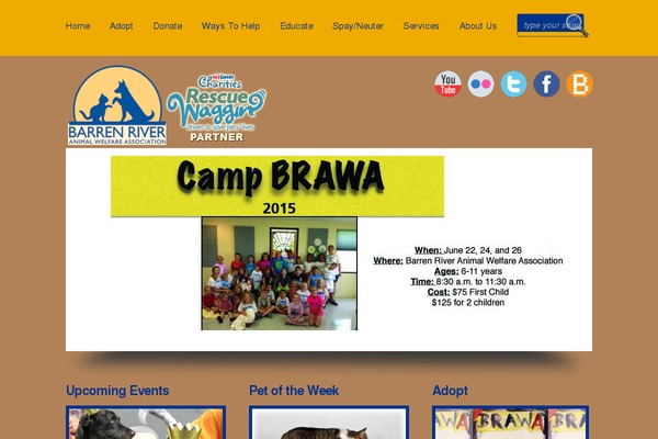 Boldy theme site design template sample