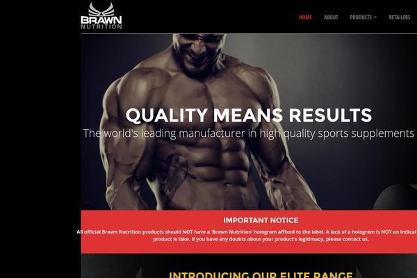 Symetrio theme site design template sample