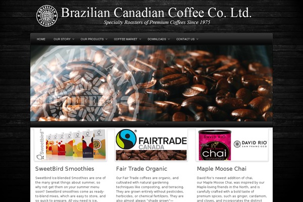 Complexity v2 theme site design template sample