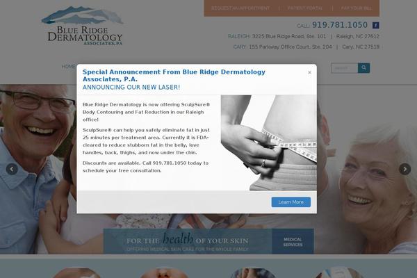 brdermnc.com site used Blueridge