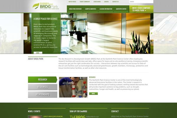 brdgPark theme websites examples