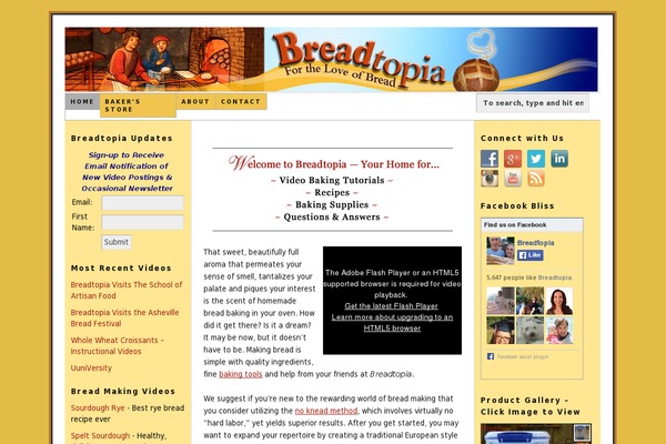 Savoy theme site design template sample