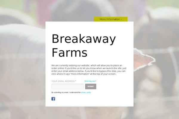 Launch Effect theme site design template sample