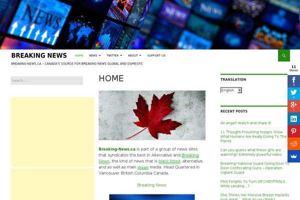 Ridizain theme site design template sample