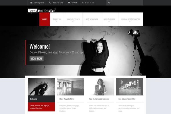 Fit Wp theme site design template sample