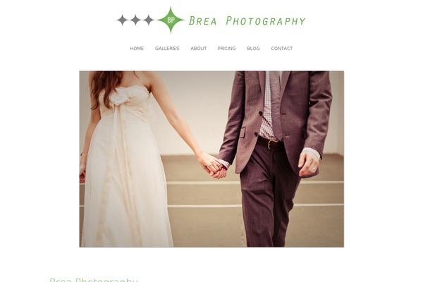 Photolux_v120 theme site design template sample