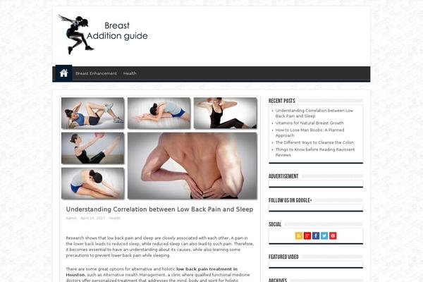 Top theme site design template sample
