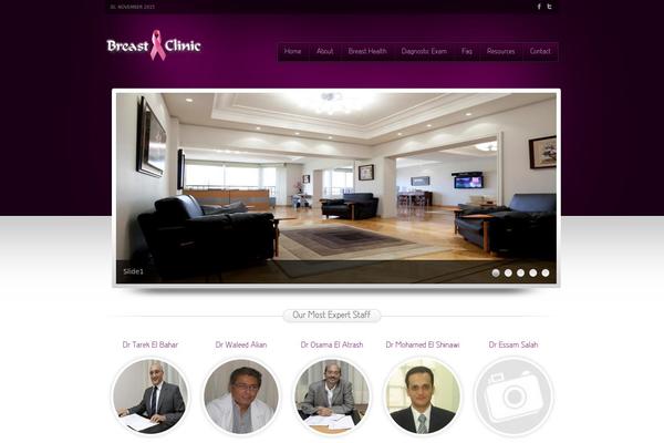 Bd_beauty theme site design template sample