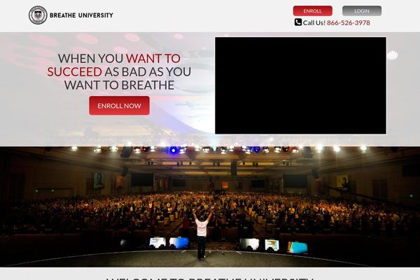 swipe theme websites examples