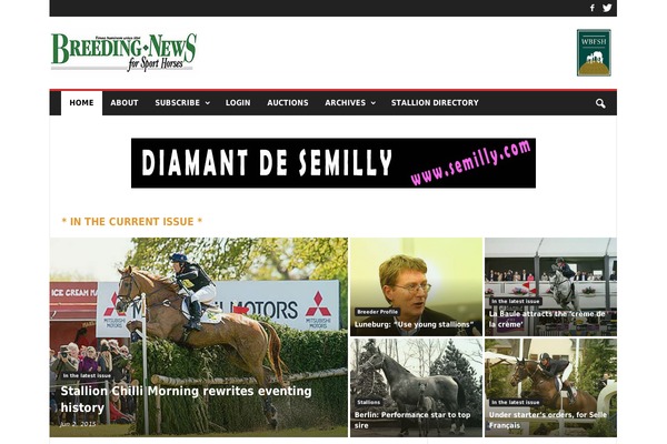 NewsMag theme site design template sample