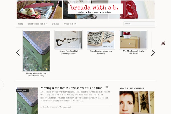 Edmin theme site design template sample