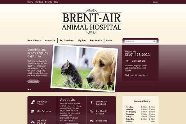 Site using Lifelearn-accessibility plugin