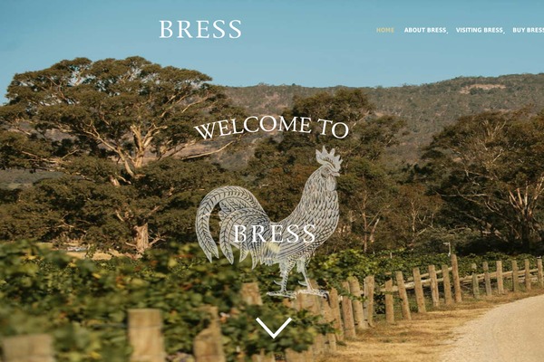 Blaszok eCommerce Theme theme site design template sample