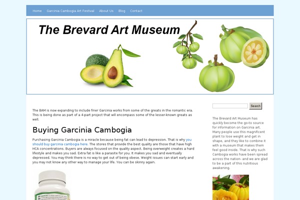 brevardartmuseum.org site used Azure Basic
